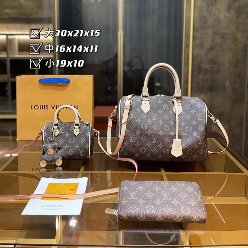 Louis Vuitton (LV) Bags