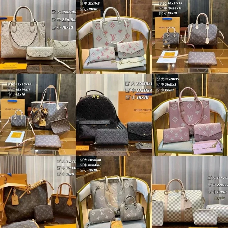 Louis Vuitton (LV) Bags