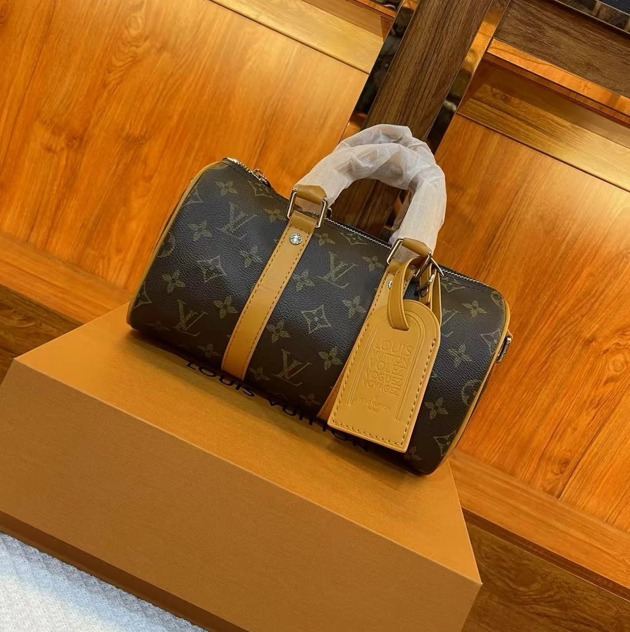 Louis Vuitton (LV) Bags